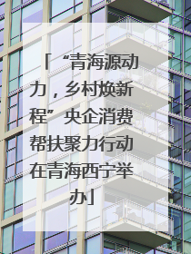 “青海源动力，乡村焕新程”央企消费帮扶聚力行动在青海西宁举办