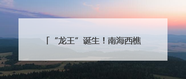 “龙王”诞生！南海西樵“半山扒龙船”热闹开锣