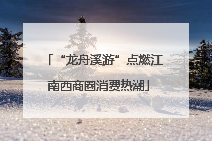 “龙舟溪游”点燃江南西商圈消费热潮