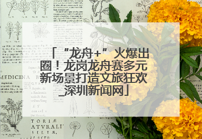 “龙舟+”火爆出圈！龙岗龙舟赛多元新场景打造文旅狂欢_深圳新闻网