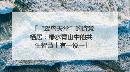 “鹭鸟天堂”的诗意栖居：绿水青山中的共生智慧丨有一说一