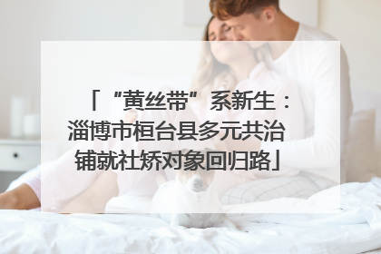 “黄丝带”系新生：淄博市桓台县多元共治铺就社矫对象回归路