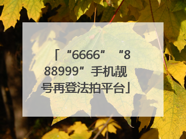 “6666”“888999”手机靓号再登法拍平台