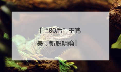 “80后”王鸣昊，新职明确