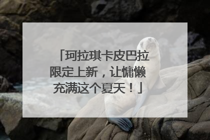 珂拉琪卡皮巴拉限定上新，让慵懒充满这个夏天！