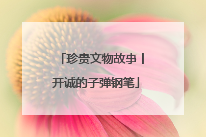 珍贵文物故事丨开诚的子弹钢笔