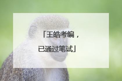 王皓考编，已通过笔试