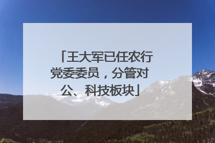 王大军已任农行党委委员，分管对公、科技板块