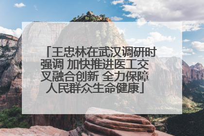 王忠林在武汉调研时强调 加快推进医工交叉融合创新 全力保障人民群众生命健康