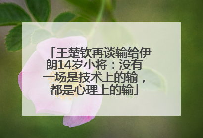 王楚钦再谈输给伊朗14岁小将：没有一场是技术上的输，都是心理上的输