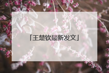 王楚钦最新发文