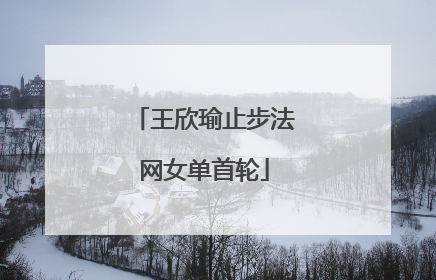王欣瑜止步法网女单首轮