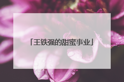 王铁强的甜蜜事业