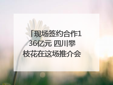 现场签约合作136亿元 四川攀枝花在这场推介会上画“图谱”列“清单”