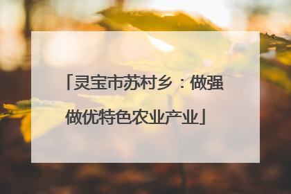 灵宝市苏村乡：做强做优特色农业产业