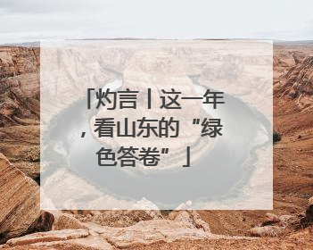 灼言丨这一年，看山东的“绿色答卷”