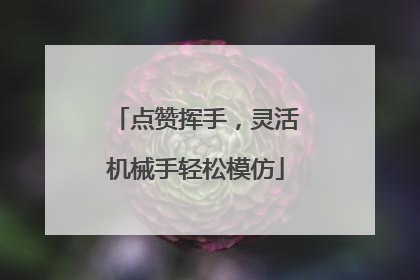 点赞挥手，灵活机械手轻松模仿