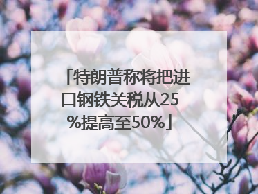 特朗普称将把进口钢铁关税从25%提高至50%