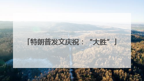 特朗普发文庆祝：“大胜”