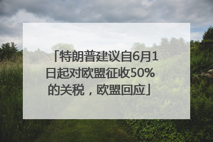 特朗普建议自6月1日起对欧盟征收50%的关税，欧盟回应