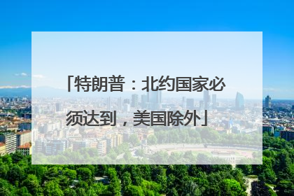 特朗普：北约国家必须达到，美国除外