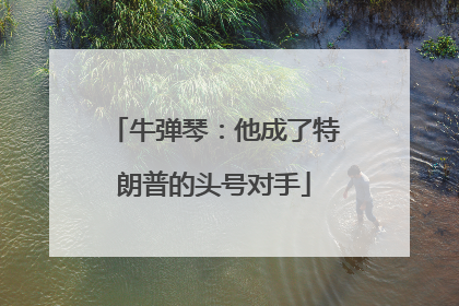 牛弹琴：他成了特朗普的头号对手
