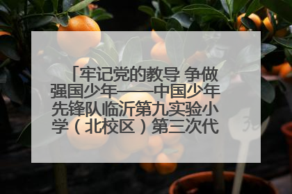 牢记党的教导 争做强国少年——中国少年先锋队临沂第九实验小学（北校区）第三次代表大会胜利召开