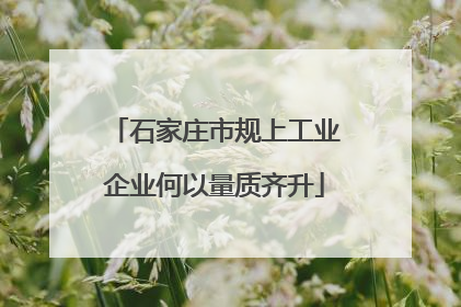 石家庄市规上工业企业何以量质齐升
