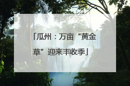瓜州：万亩“黄金草”迎来丰收季
