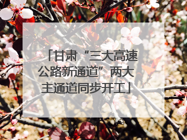 甘肃“三大高速公路新通道”两大主通道同步开工