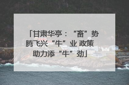 甘肃华亭：“畜”势腾飞兴“牛”业 政策助力添“牛”劲
