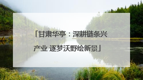 甘肃华亭：深耕链条兴产业 逐梦沃野绘新景