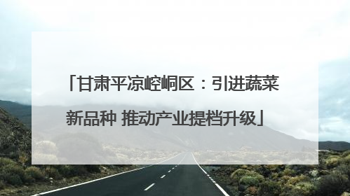 甘肃平凉崆峒区：引进蔬菜新品种 推动产业提档升级