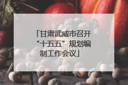 甘肃武威市召开“十五五”规划编制工作会议