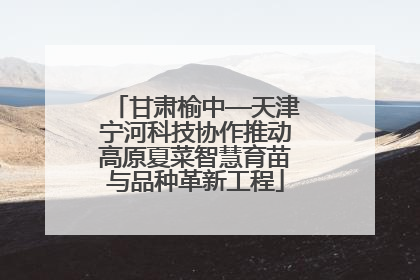 甘肃榆中—天津宁河科技协作推动高原夏菜智慧育苗与品种革新工程