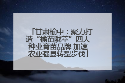 甘肃榆中：聚力打造“榆苗陇萃”四大种业育苗品牌 加速农业强县转型步伐