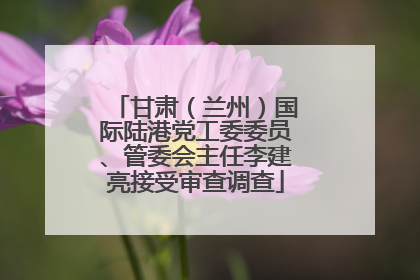 甘肃（兰州）国际陆港党工委委员、管委会主任李建亮接受审查调查