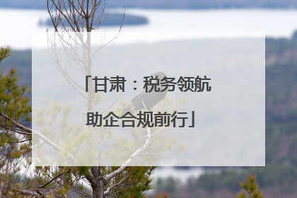 甘肃：税务领航 助企合规前行