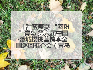 甜蜜盛宴 “圈粉”青岛 第六届中国·澄城樱桃营销季全国巡回推介会（青岛站）成功举办
