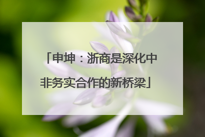 申坤：浙商是深化中非务实合作的新桥梁