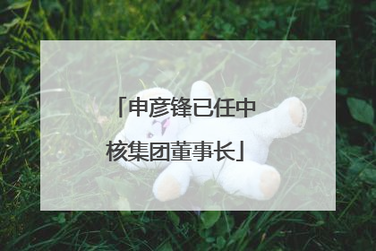 申彦锋已任中核集团董事长