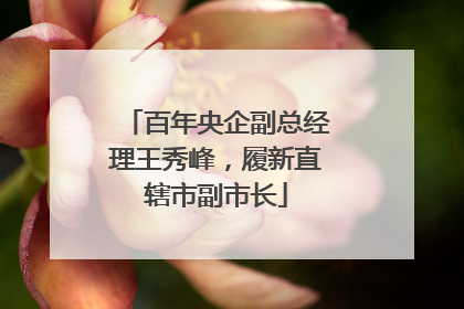 百年央企副总经理王秀峰，履新直辖市副市长