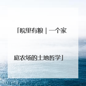 皖里有粮｜一个家庭农场的土地哲学