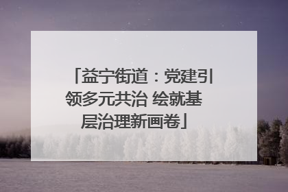 益宁街道：党建引领多元共治 绘就基层治理新画卷