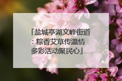 盐城亭湖文峰街道：粽香艾草传温情 多彩活动聚民心