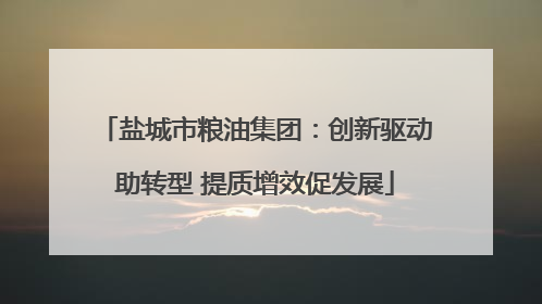 盐城市粮油集团：创新驱动助转型 提质增效促发展