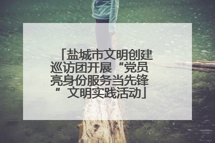 盐城市文明创建巡访团开展“党员亮身份服务当先锋”文明实践活动