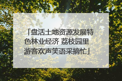 盘活土地资源发展特色林业经济 荔枝园里游客欢声笑语采摘忙