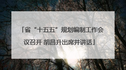 省“十五五”规划编制工作会议召开 胡昌升出席并讲话