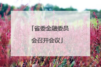 省委金融委员会召开会议